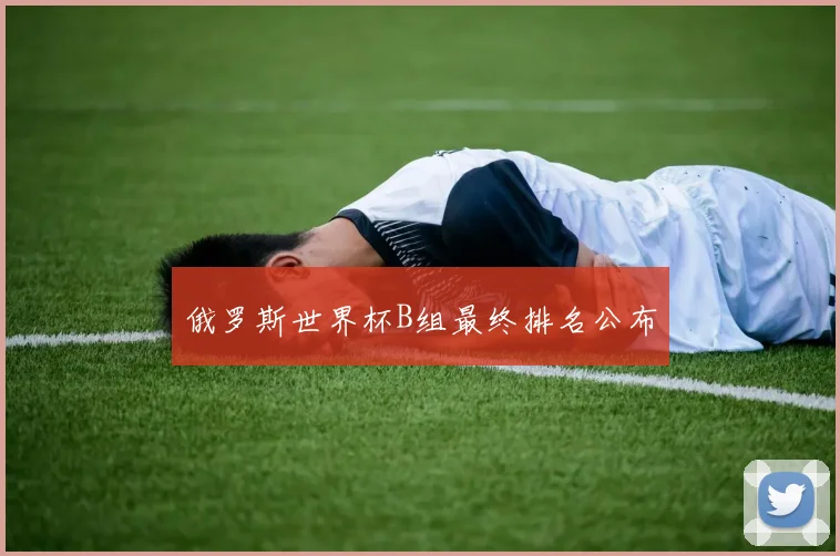俄罗斯世界杯B组最终排名公布